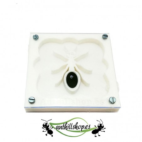 【Hormigueros】Kit 3d HORMIGA 10 x 10 cm espuma color blanco para niños.