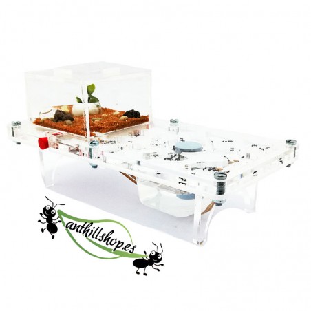 【ANTENHÜGEL】 10 x 20 ACRYLPILZ