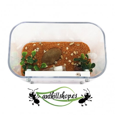 ▶ HOCHWERTIGES 3D-SCHAUMPLATTEN-ANTS-KIT┃KOSTENLOSER VERSAND