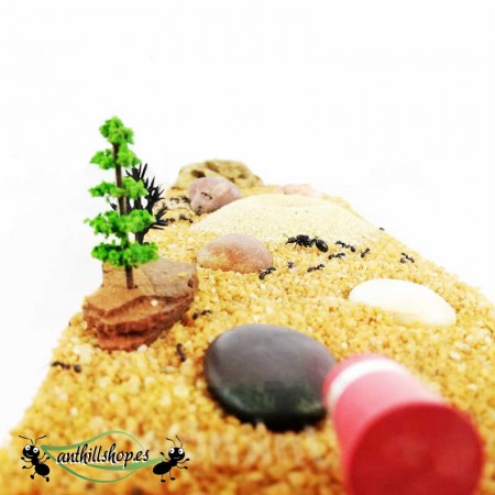 ▶LÍDER EM ESPANHA NA FABRICAÇÃO DE AREIA NATURAL ANTHILLSHOP【ANTHILLSHOP】 2