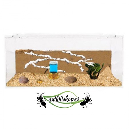 ▶ FÜHREND IN SPANIEN BEI DER HERSTELLUNG VON NATÜRLICHEM SAND ANTHILLSHOP【ANTHILLSHOP】