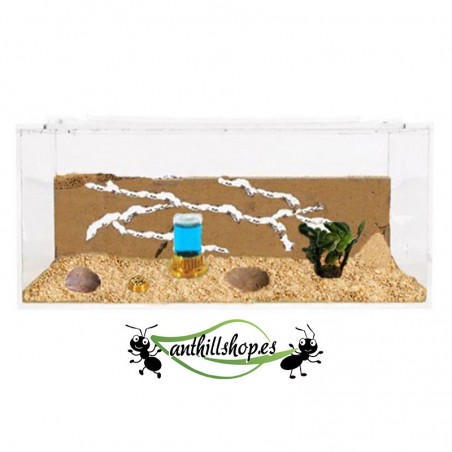 ▶LEADER IN SPAGNA NELLA PRODUZIONE DI SABBIA NATURALE ANTHILLSHOP【ANTHILLSHOP】