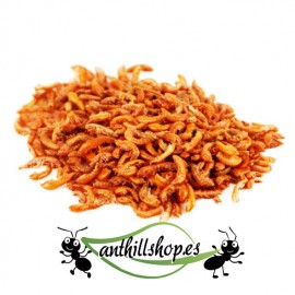 ALIMENTO PARA FORMIGAS GAMMARUS (25GR).