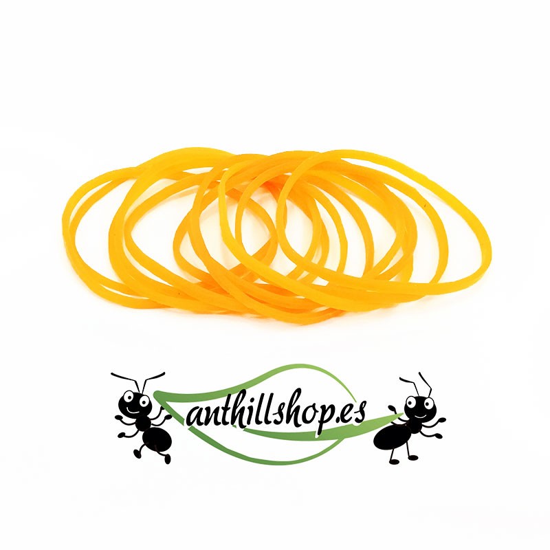 Anthill accessories