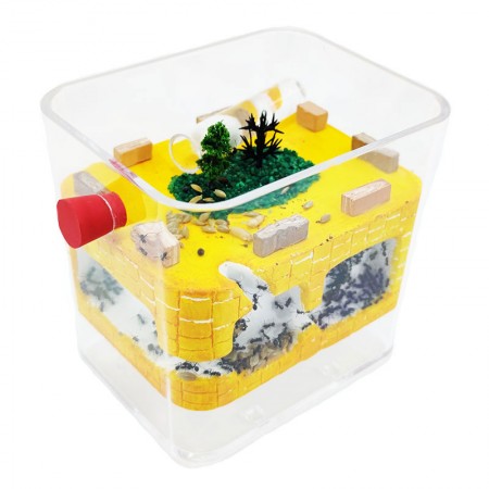 leader nella produzione di formicai in Spagna numero uno nelle vendite 2