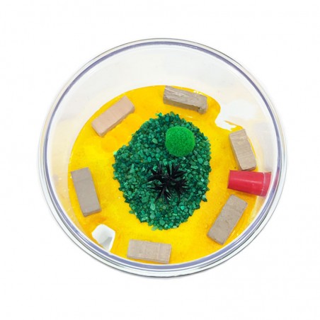 Ameisenhaufen mit integrierter Futterbox von Anthillshop