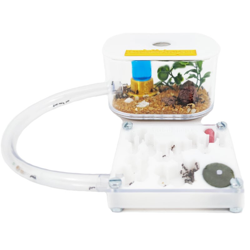 3D-Ameisenhaufen mit weißer Abdeckung