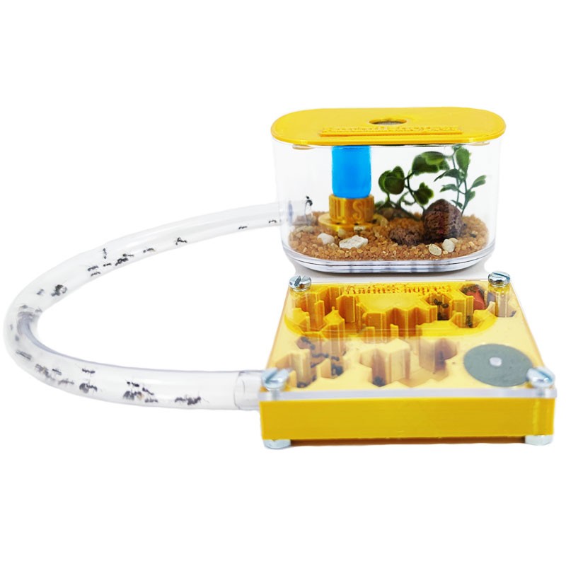 con foraggiamento per nutrire le formiche dei formicai 3d