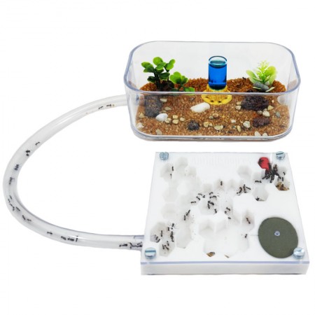 Formicaio Pannello a forma di colore bianco 3d 2