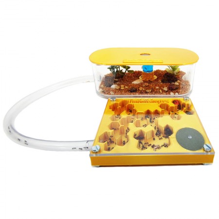 gold color panel shape ant nests 2