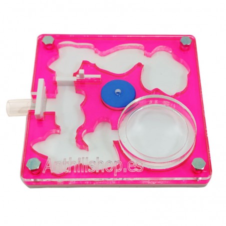 ▶COLOR ANTS, DAS PERFEKTE UND ORIGINALE GESCHENK