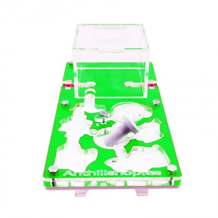 formigueiros para formigas 2