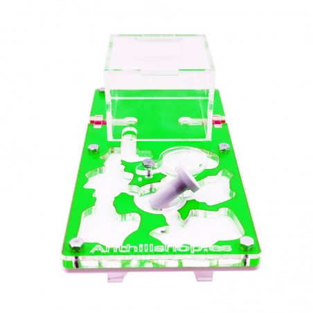 ameisenhaufen aus Acryl mit Ameisen