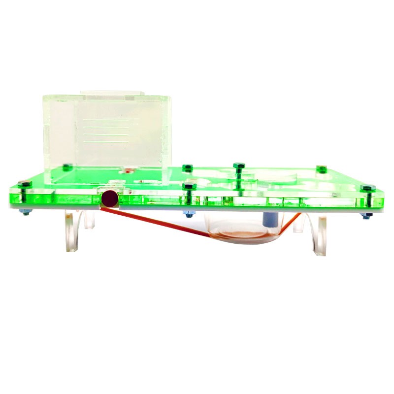 ihr Ameisenhaufen in Ihrem eigenen Haus mit Ameisen