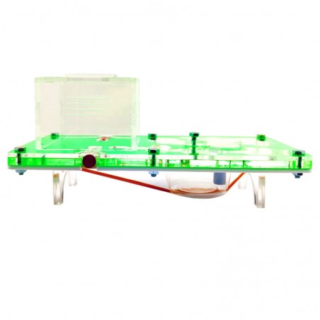 ihr Ameisenhaufen in Ihrem eigenen Haus mit Ameisen