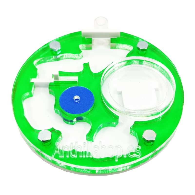 pädagogische Ameisenhaufen