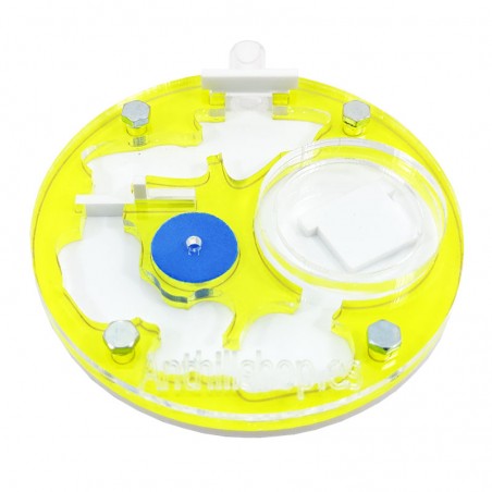 fourmilières avec fourmi en mousse