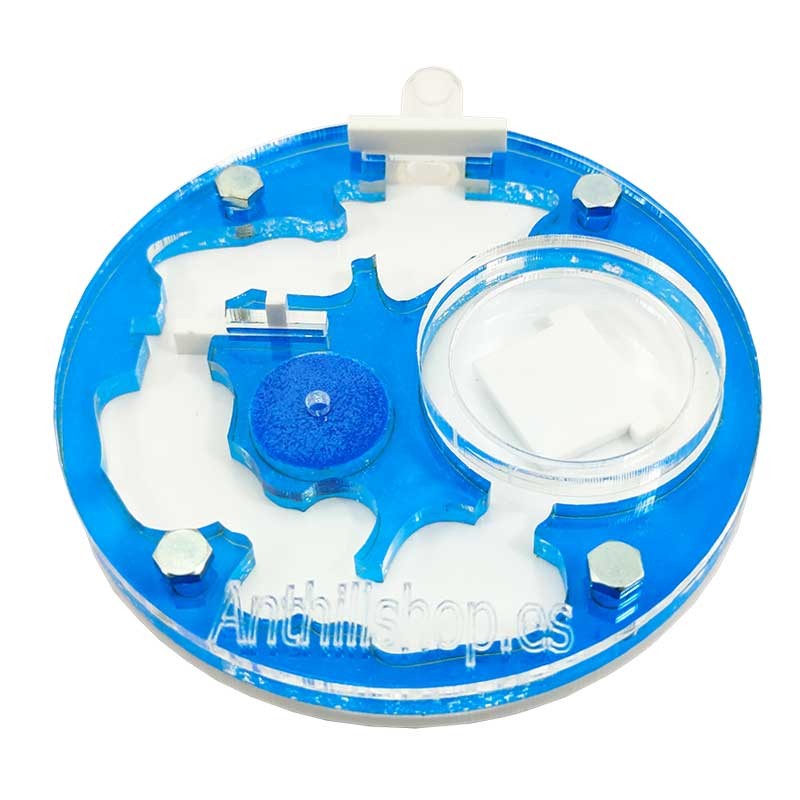 für alle Ameisenarten