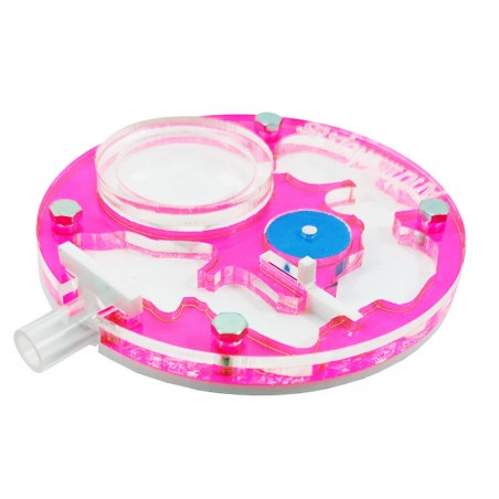 fourmilières bon marché