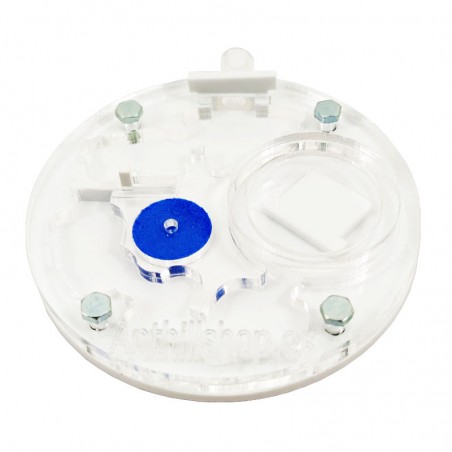 avec chaque commande des fourmis gratuites