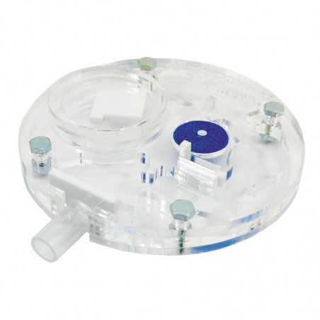 transparente Ameisenhaufen für Ameisen