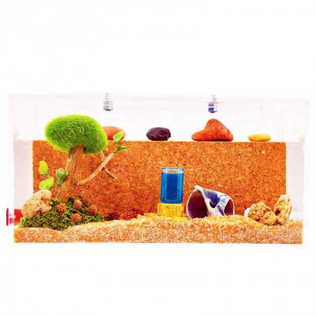 hormiguero de corcho 2