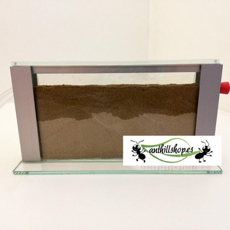 Sand-Ameisenhaufen-Kits