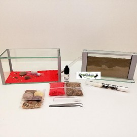 Sand-Ameisenhaufen-Kits