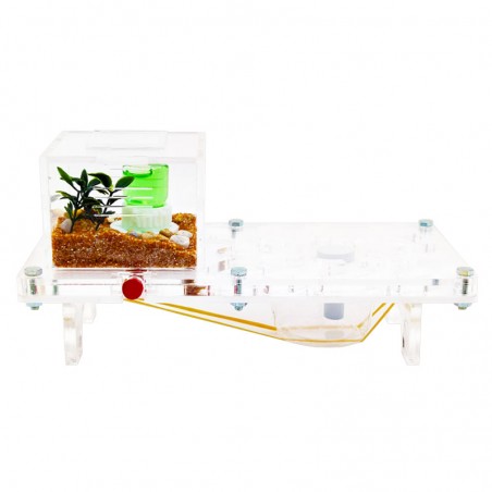 ameisenhaufen für Ameisen