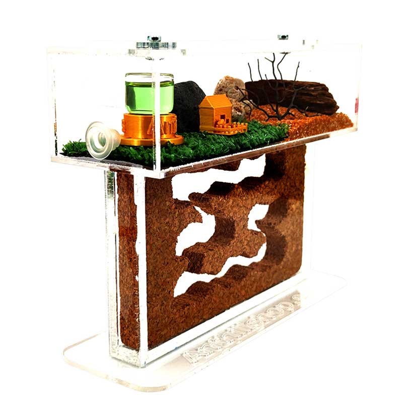 brauner Ameisenhaufen