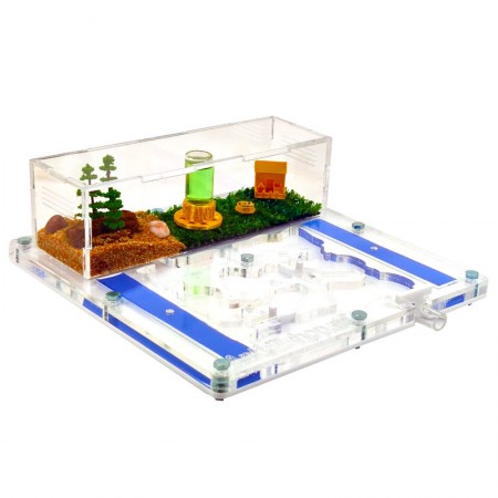 ▷MODULAR ANT NIGERS┃FREE SHIPPING 2