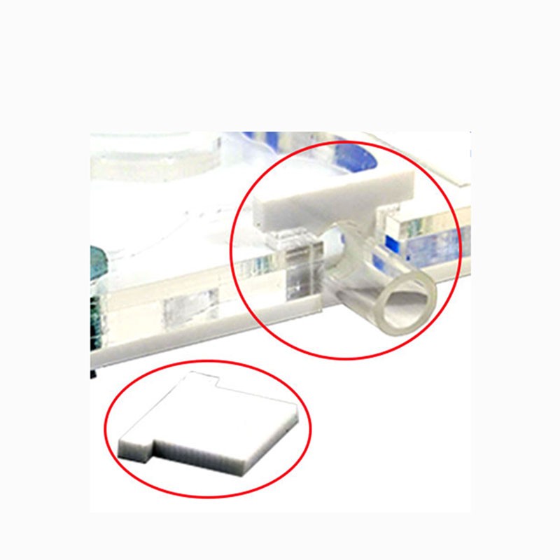 Ameisenhaufen Kit 20x20 Pilz Originelles Geschenk