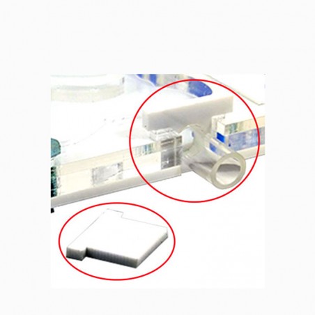 Ameisenhaufen Kit 20x20 Pilz Originelles Geschenk