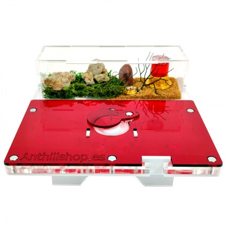 tapa roja para el hormiguero 20x20 seta 2