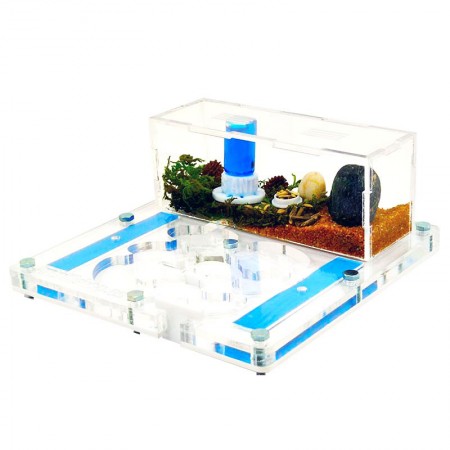 transparent pva anthill 2