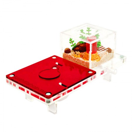hormiguero con tapa roja protectora 2