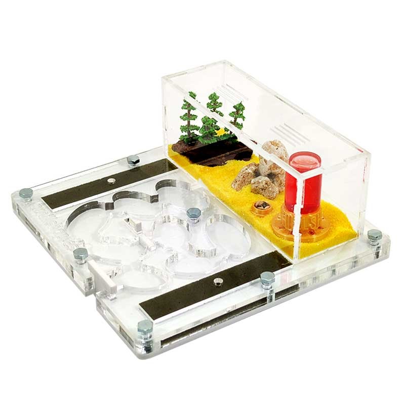 ameisenhaufen aus Acryl mit ovalen Galerien