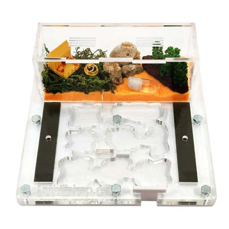 ▷Ameisenhaufen Kit 15x15 Acrylschaum, Ameisenfarmen