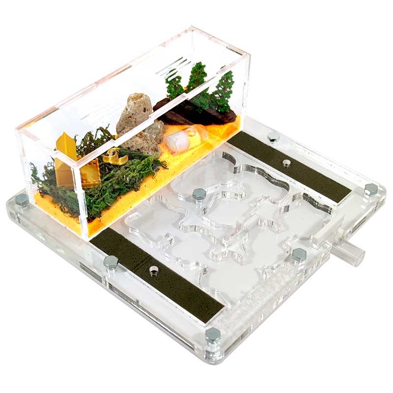 ein Ameisenhaufen zu Hause künstlich