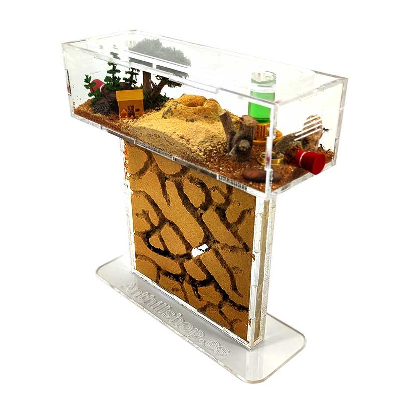 Kit formigueiro T-areia pequena (acrílico)