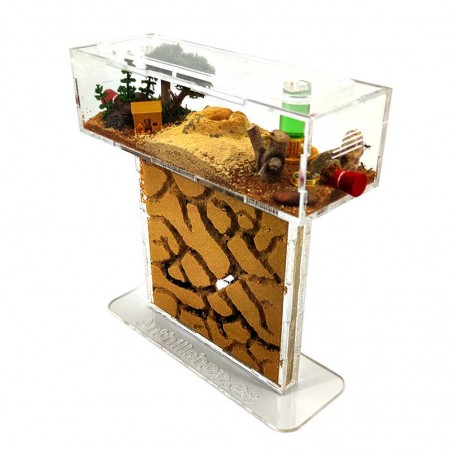 Kit formigueiro T-areia pequena (acrílico)