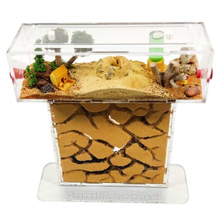 fourmilière de sable naturel avec des fourmis