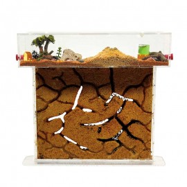 Kit anthills T-Large acrylic sand.