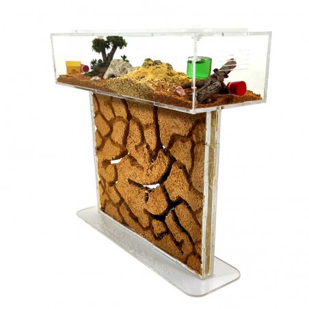 Ameisenhaufen mit Futterbox und Sandwich für die Ameisengalerien