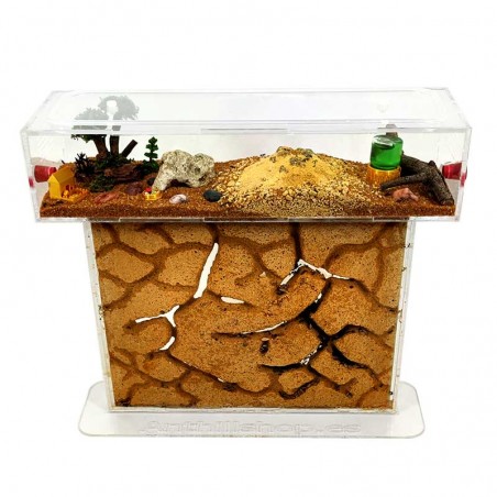 futterbox mit Ameisen