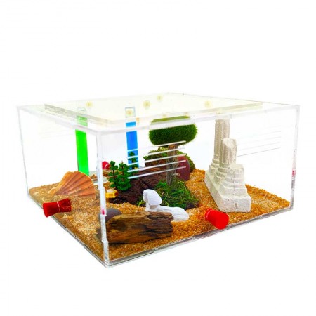 Foraging Box for【HORMIGUEROS】and Quality Ants at the Best Price 2