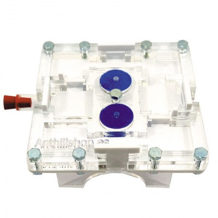 hormigueros modulares 2