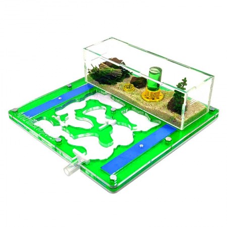 MANGEUR DE FOURMIS VERT AVEC BOITE DE RECHERCHE DE NOURRITURE 2