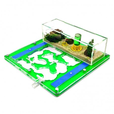 FARBE AMEISE RIESIG MIT ZUBEHÖR FÜR AMEISEN