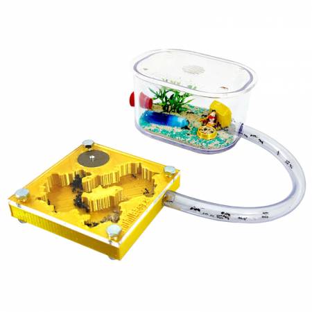 GOLDENE AMEISE RIESIG MIT AMEISEN 2